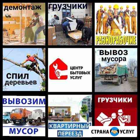 к материалу изображение Спил деревьев,вывоз мусора,веток, демонтаж