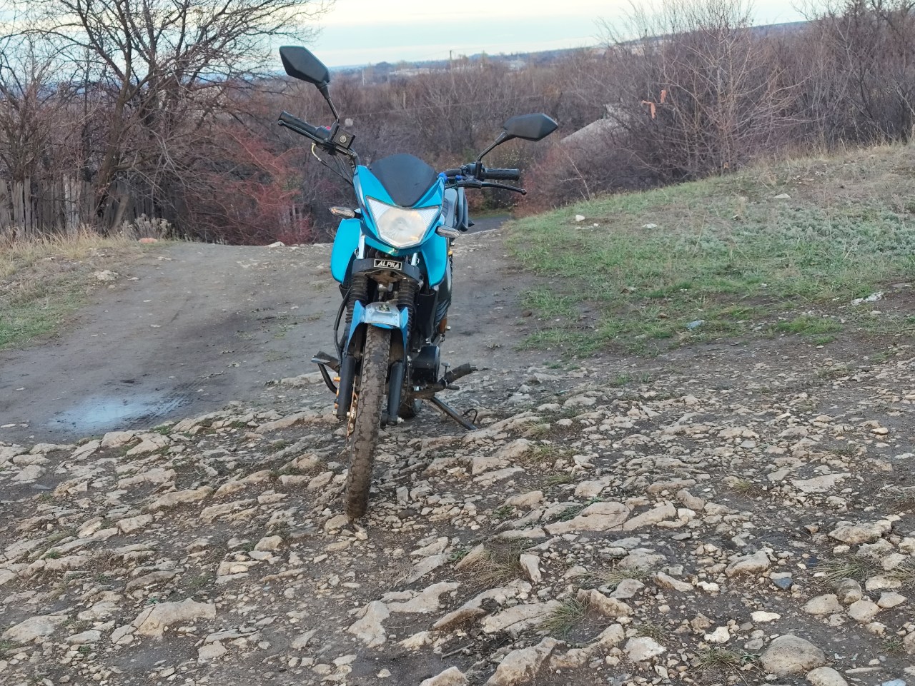 изображение,скриншот № 4 к альфу чамп