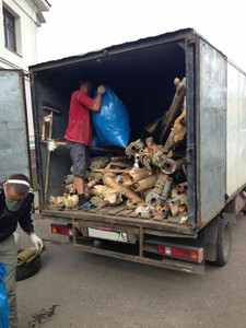 Выполним по Луганску и области:
Спил деревьев, расчистка участков от поросли,покос травы, корчевание