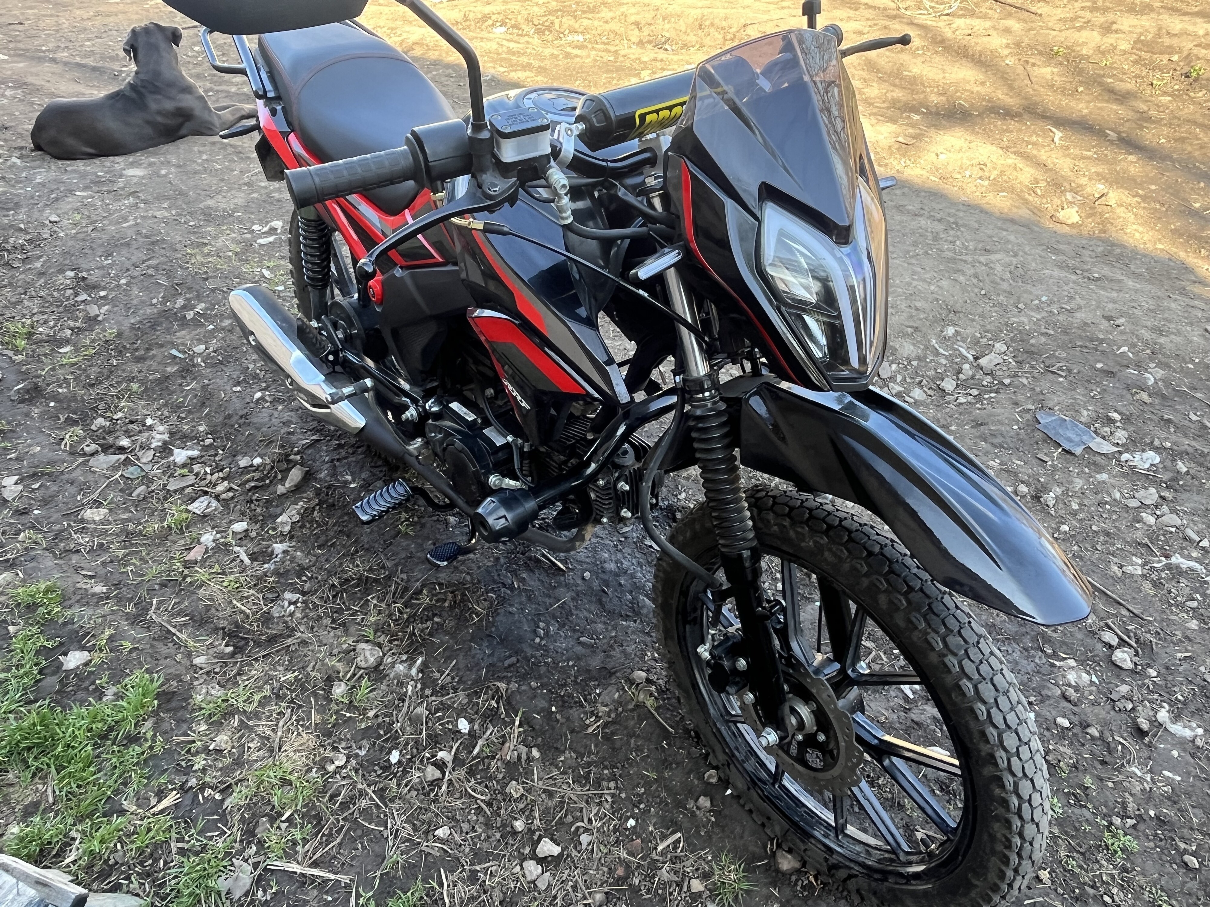 Продам добротный мопед на каждый день Альфа Спорт 125 (кубов) , по документом и блоке ГБЦ, и шильдик