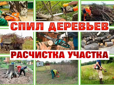 Спил деревьев , расчистка участков,вывоз мусора Выполним по Луганску и области. Спил деревьев,веток, уборка участков,покос травы, корчевание пней.Вы