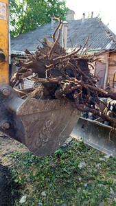Расчистка участков ,спил деревьев,корчевание пней,покос травы,вывоз мусора Оказываем услуги по Луганску и области. <br /> Спил деревьев, расчистка участков ,корчевание пней вр