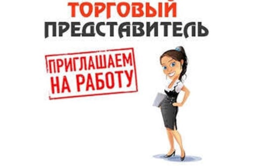 к материалу изображение Требуются торговые представители (девушки) с личным авто. Проживание г. Луганск