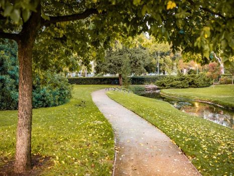 Ботанический сад в Камброде начнут, восстанавливать, в 2024 году