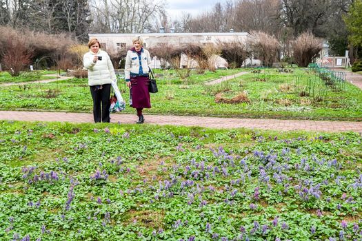Старейший в ЛНР и всем Донбассе ботанический сад начнут восстанавливать в этом году