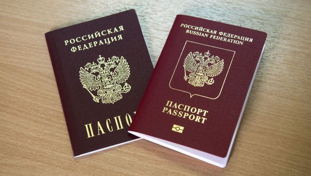 Электронная, очередь, на паспорт, Запорской, области, РФ для